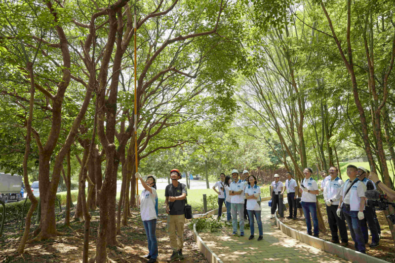 藝師教導大家認識樹木、檢查樹的健康狀況，學習修枝及碎枝覆土