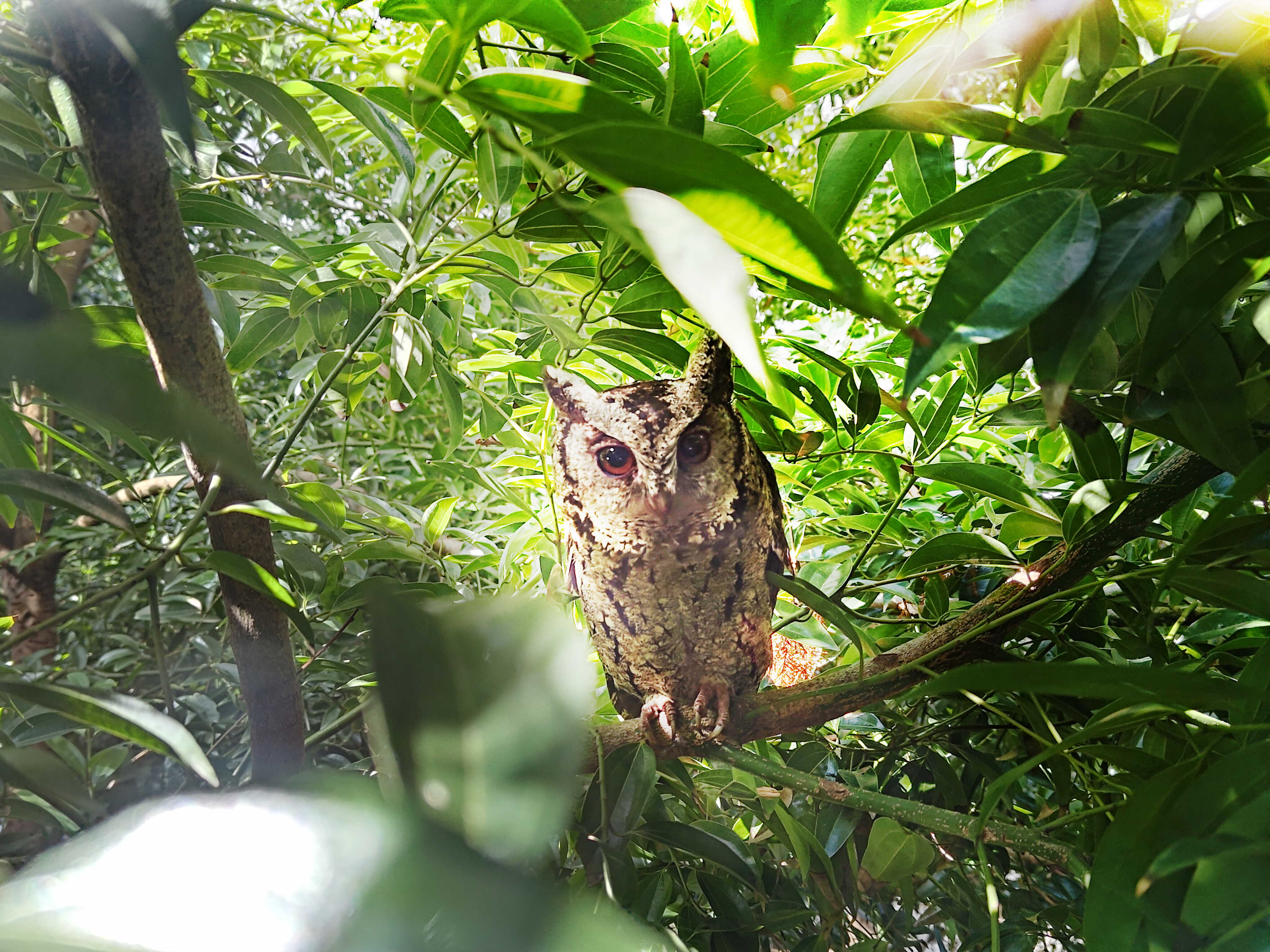 米兰·(milan)致力提倡净零绿生活，16年以来在全球各厂区植树逾百万棵，造就各厂区树木蔚然成林，犹如森林工厂，成为许多生物的栖息地